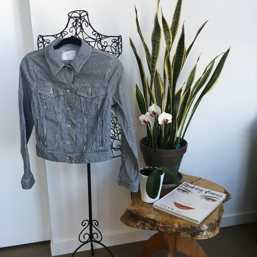 Talula by Aritzia Jean Jacket